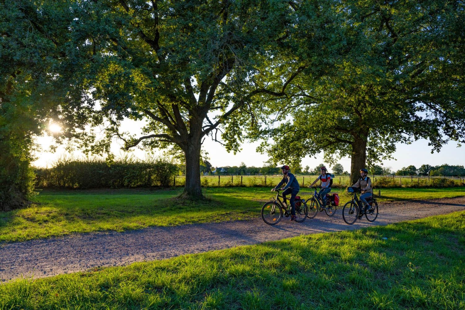 3 personnes prise en photo sur leur vélo lors de leur pelerinage a velo